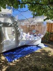 1000000814 1730004814 Balloon Bounce House